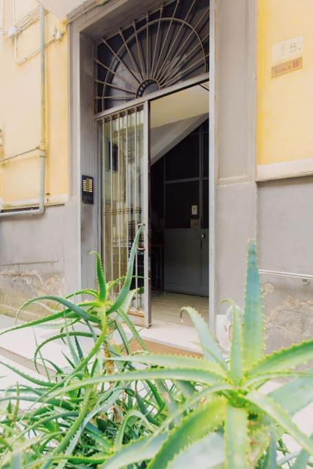 דירות Mann House Napoli מראה חיצוני תמונה